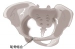 7D0FD9E7-3A2A-4B84-A08A-07C9EA015DE6